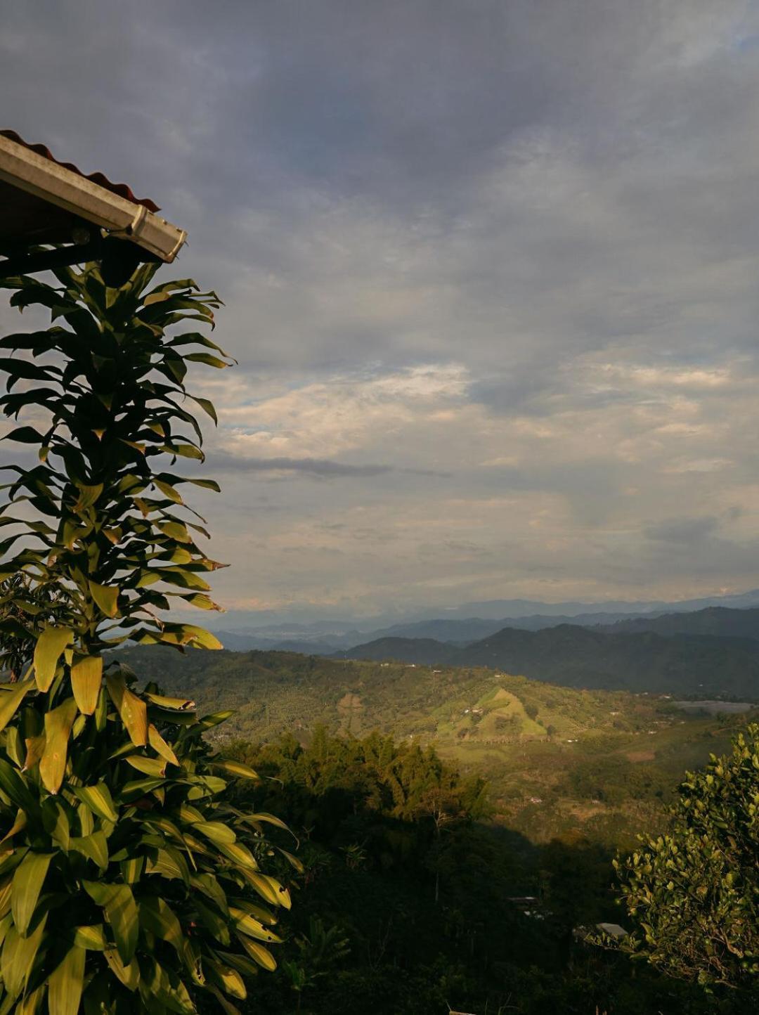 Hacienda Boutique Santa Rosanna Villa Santa Rosa de Cabal Eksteriør billede